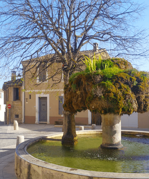 Vaugines © Oriane Tempé