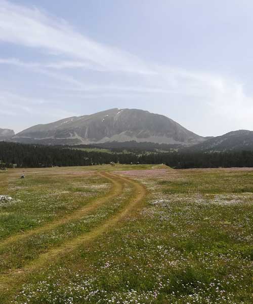 SUr les Hauts Plateaux du vercors avec le Grand Veymont an arrière plan