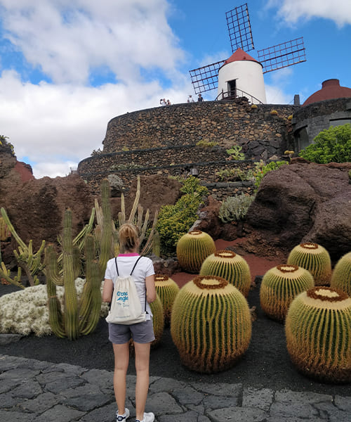 J2 Jardin de cactus à Guatiza © David praire