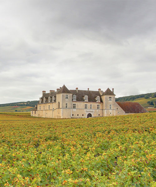 Chateau de Gevrey Chambertin