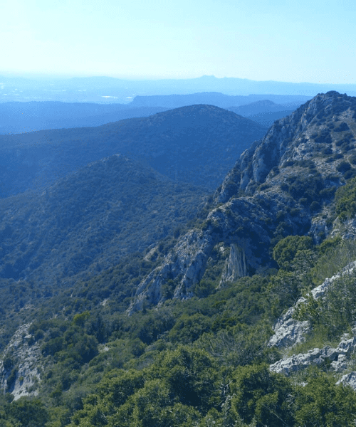 Forêt des Cèdre Bonnieux - Arche de Portalas © Oriane Tempé