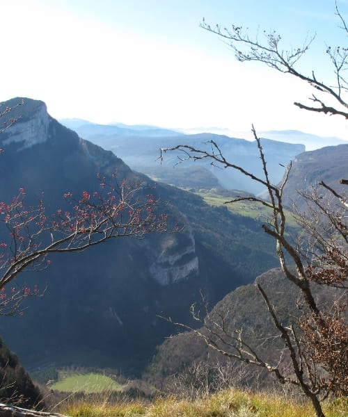 Vue sur les gorges de la Bourne © Anne Marie Billaut