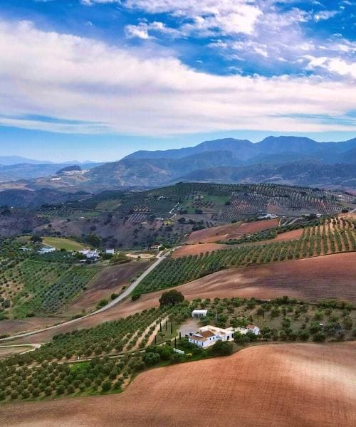 Collines Andalouses entre Olvera et Puerto Serrano - Andalousie © David Praire