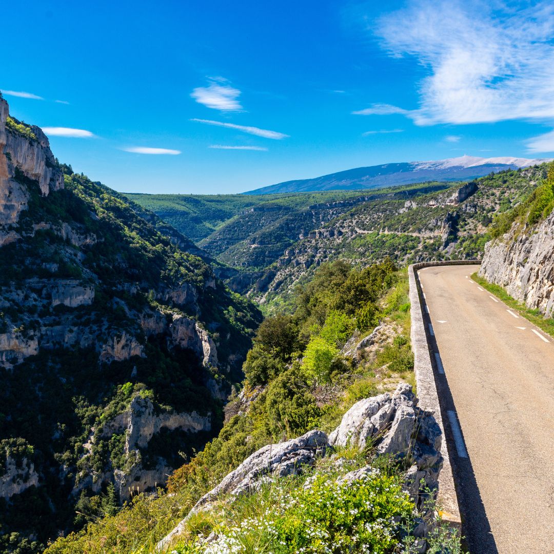 Gorges de la Nesque © AdobeStock