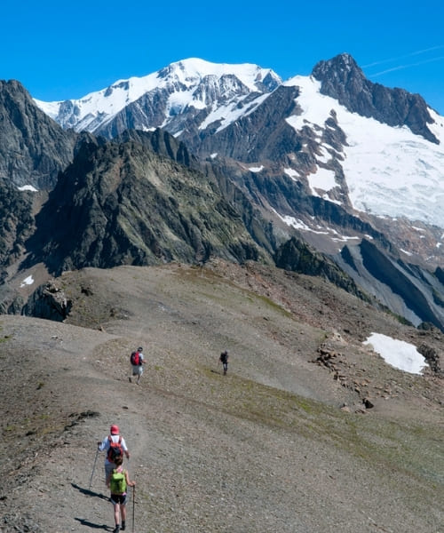 Point de vue sur Aiguille des Glaciers et Mont Blanc