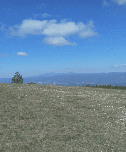 Vue sur le Mont Ventoux © Oriane Tempé