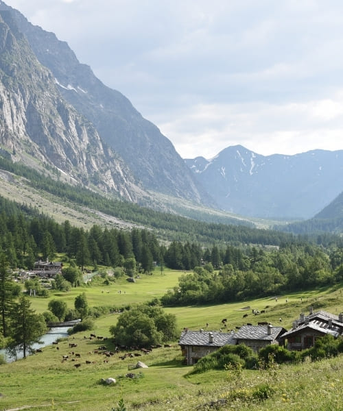 Village typique du Val Ferret © Jazzamasta, AdobeStock