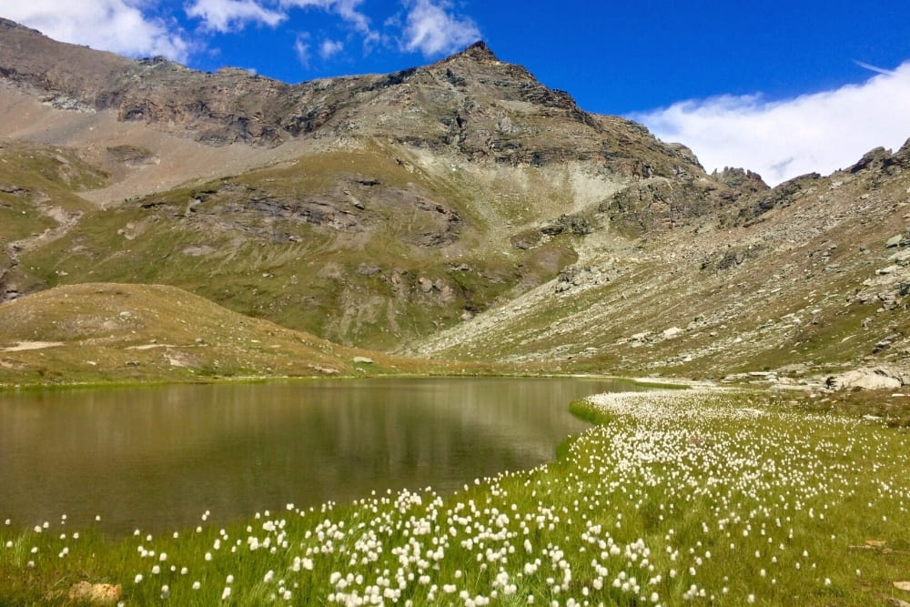 Lac sous le col Pinter © Laurent Comte