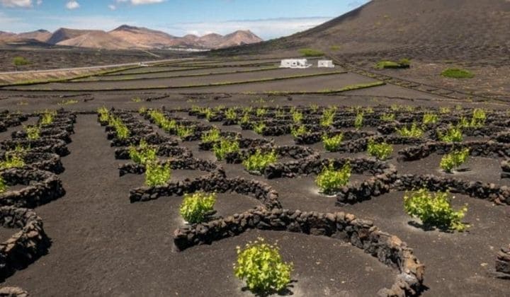 Lanzarote