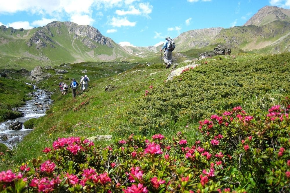 Le Grand Paradis et la vallée d'Aoste