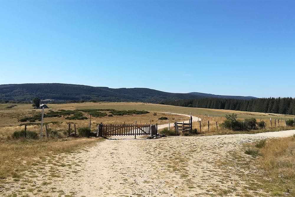 Les Hauts Plateaux de l'Aubrac à 1320m ©Adrien Ozanon