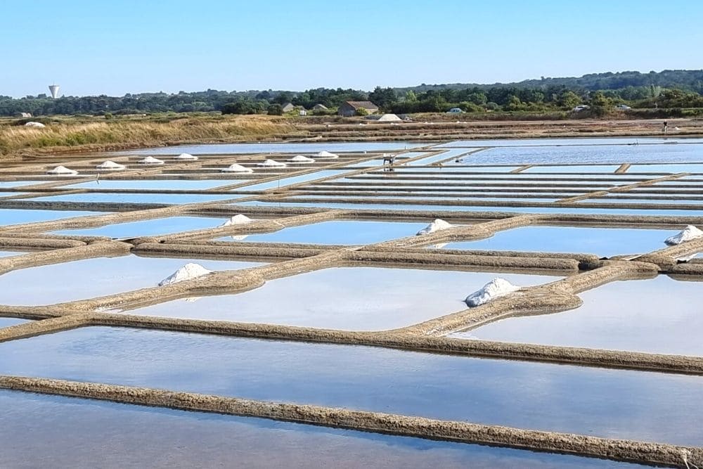 Les salines de Guérande