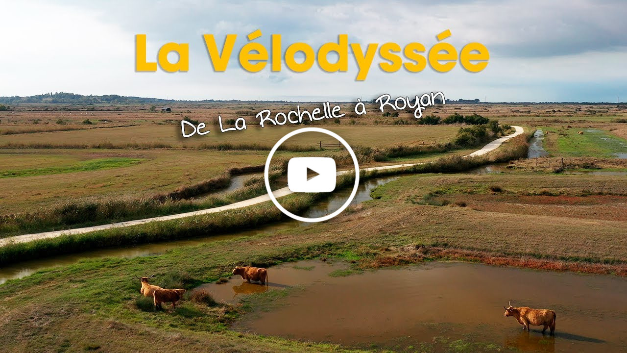 Cliquez pour regarder notre vidéo "La Vélodyssée : La Rochelle à Royan"