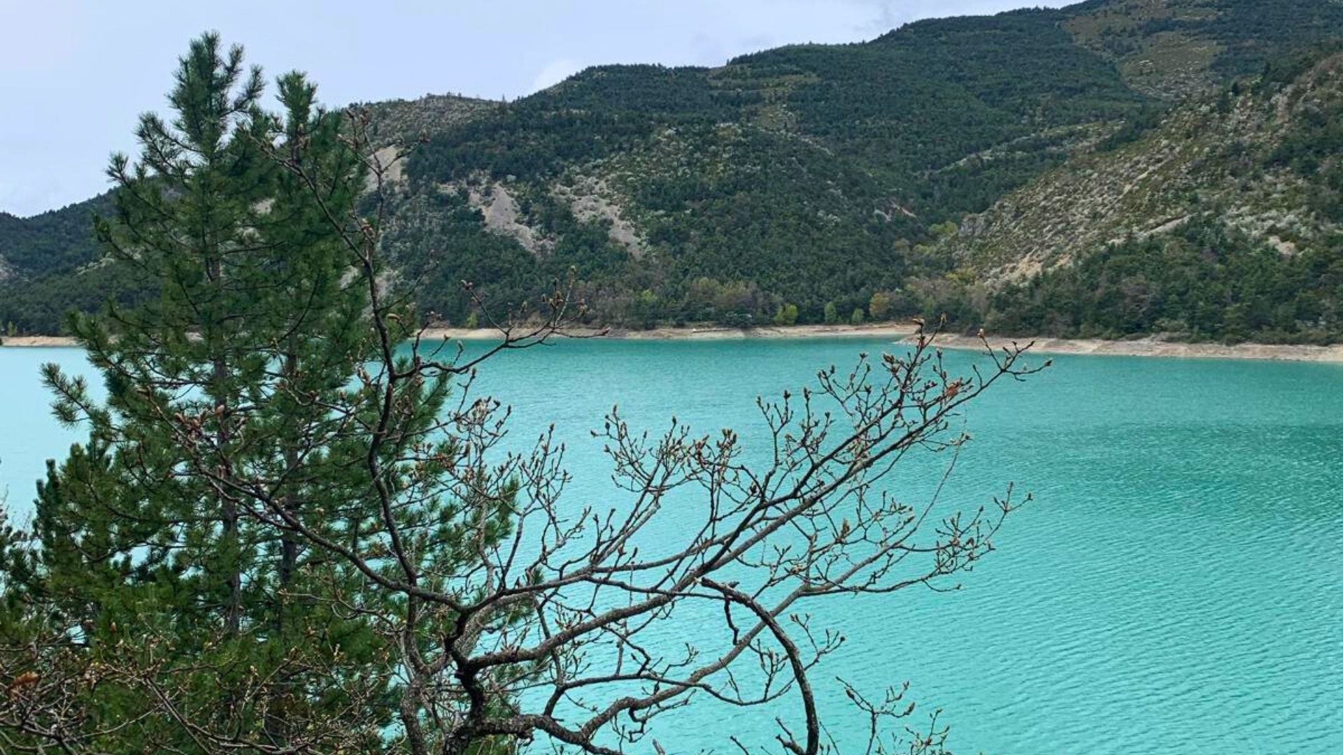 Article Camille verdon photo 1