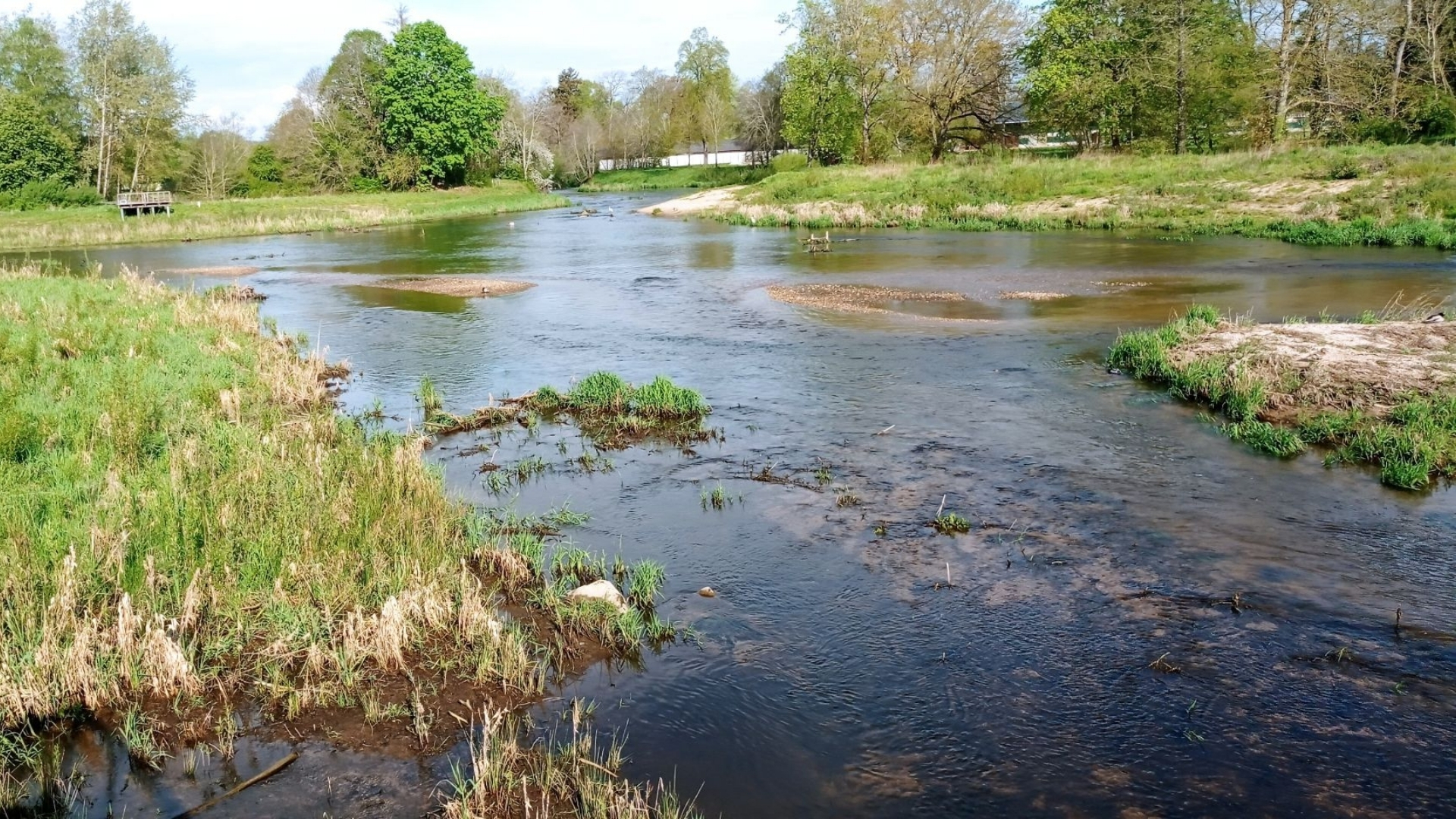 Article Clémence lieu ou se retrouvent les deux principales sources du qDanube