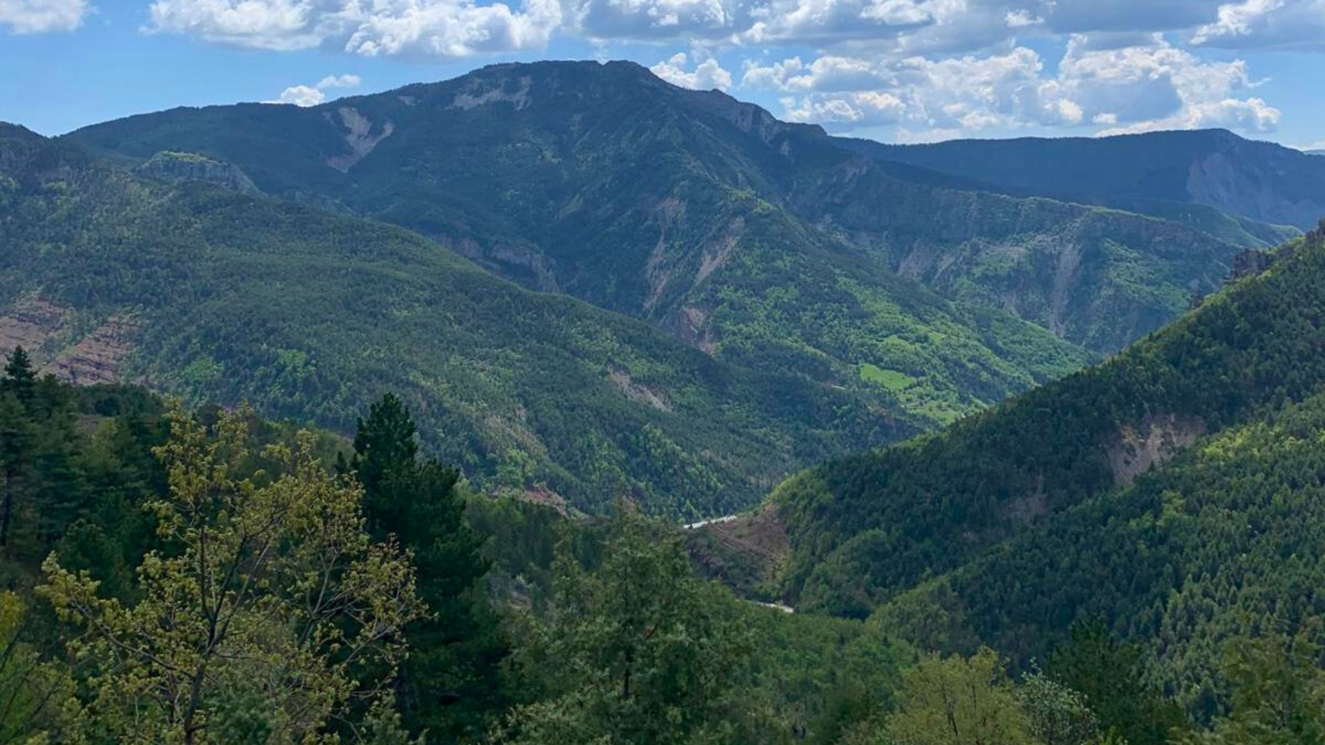 Article camille verdon photo 10