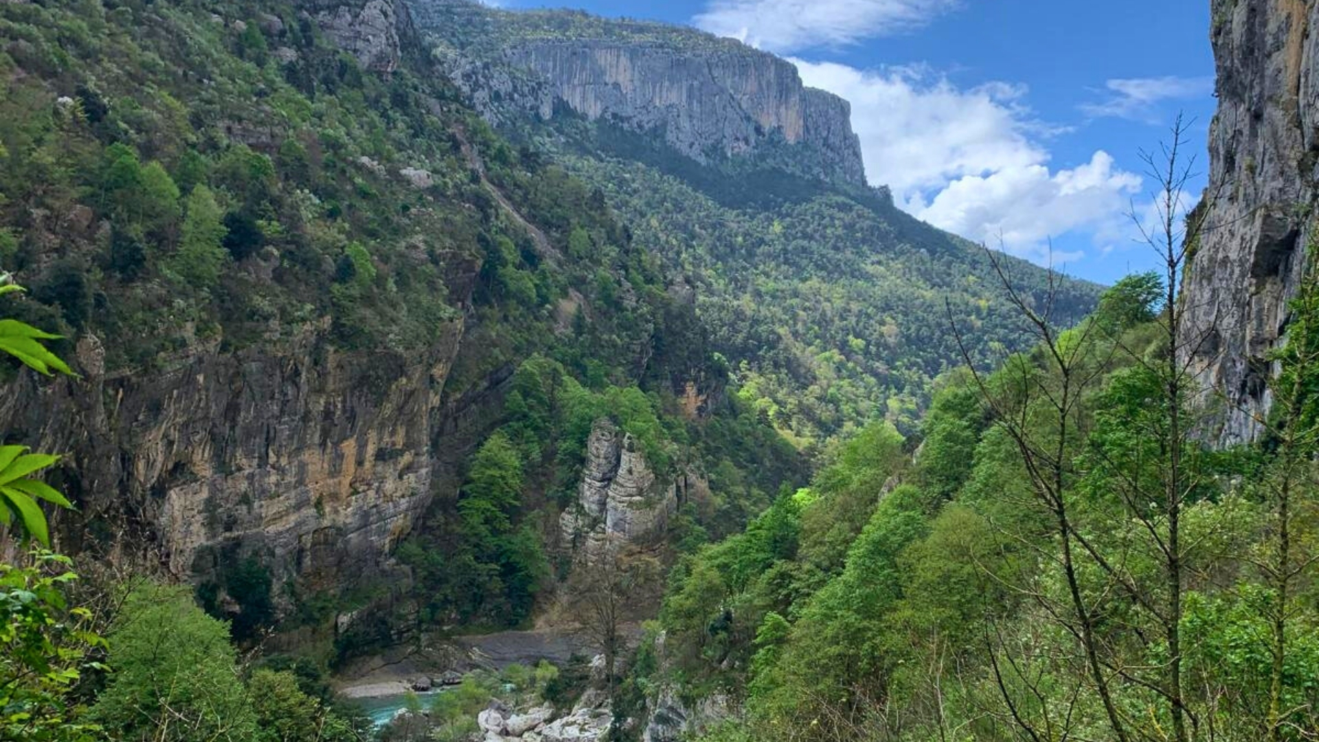 Article camille verdon photo 4