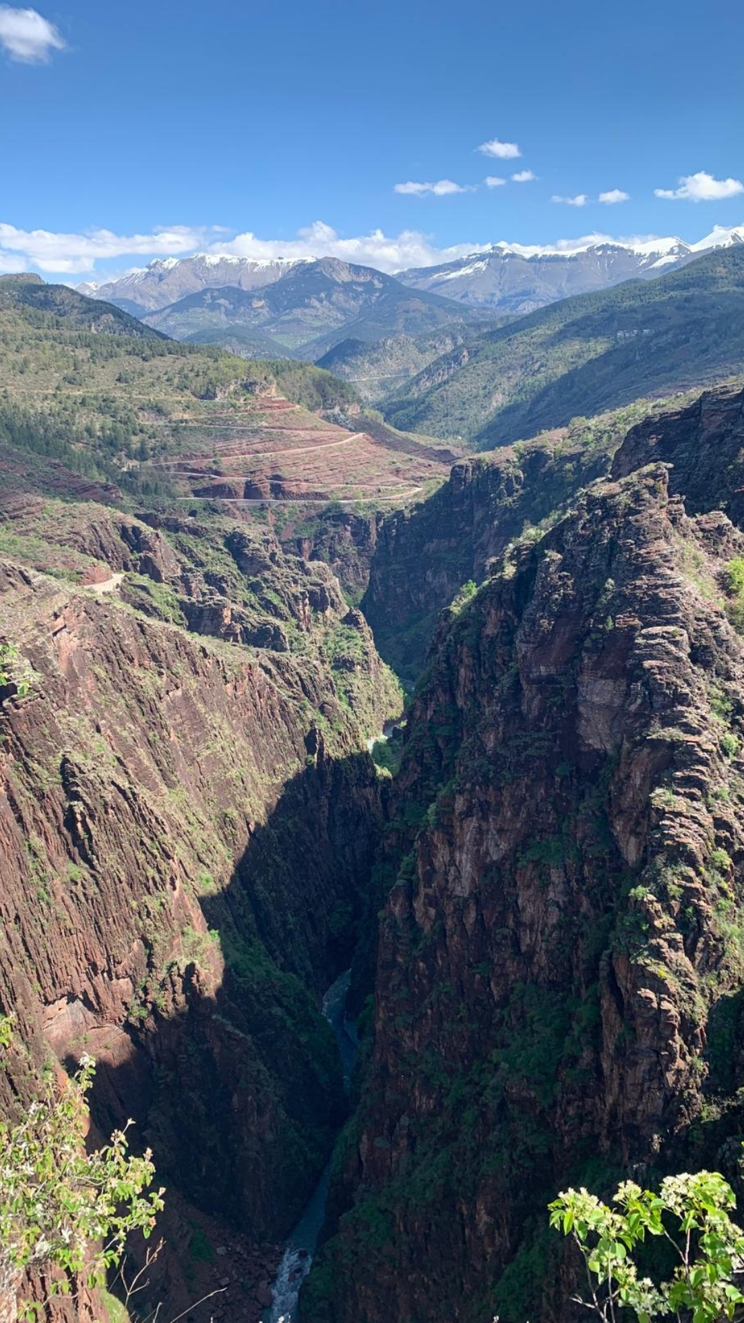 Article camille verdon photo 9