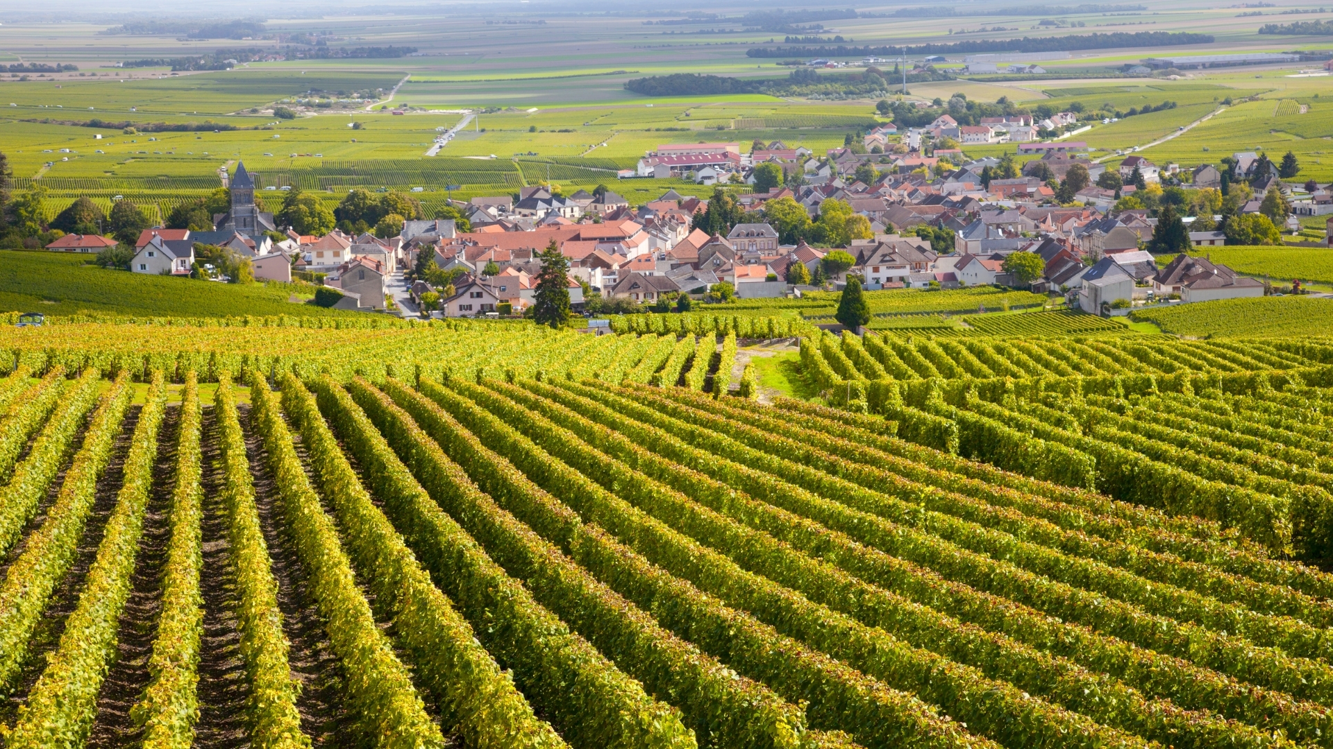 Bourgogne route des grands crus article route des vins