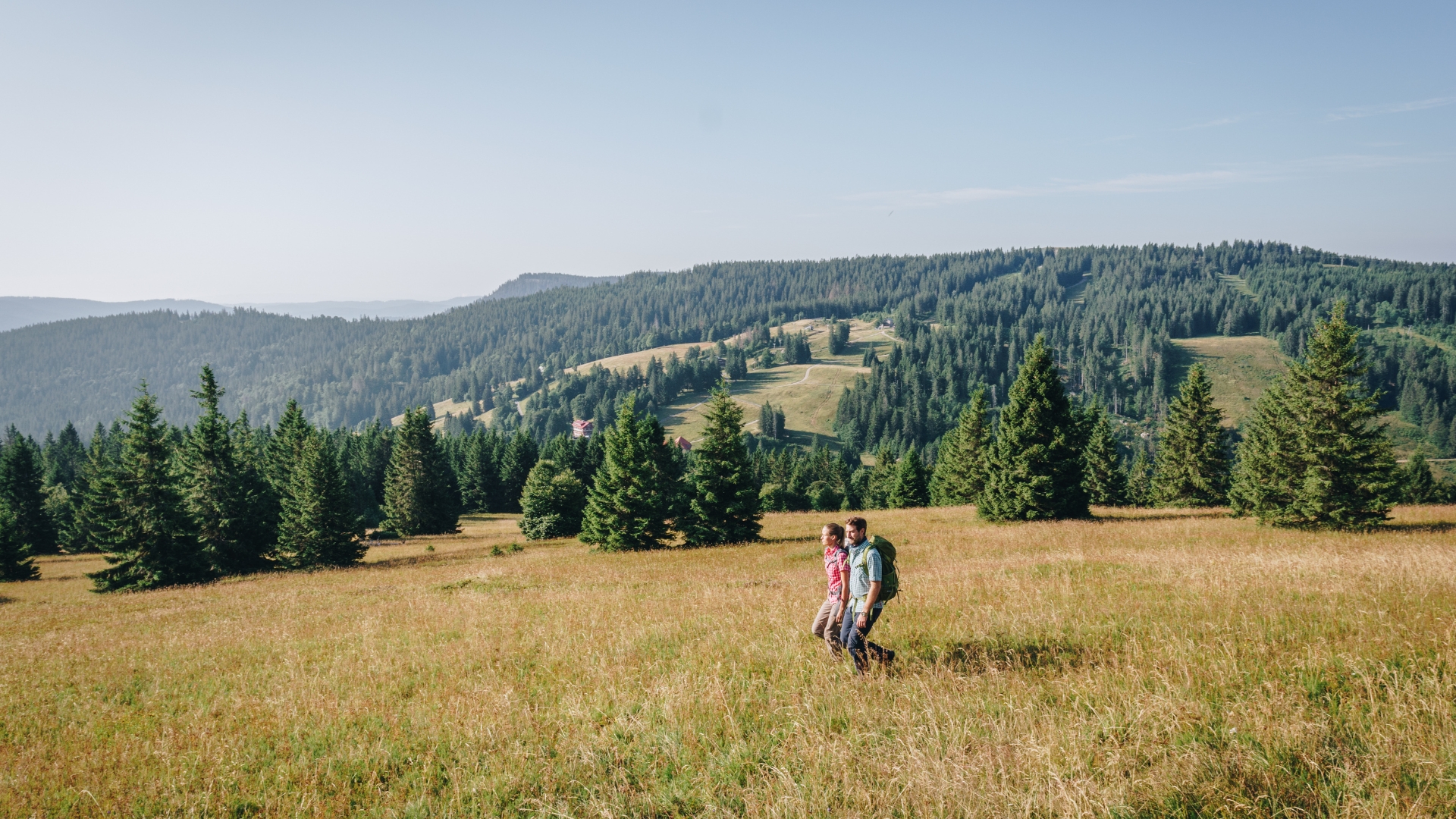 Allemagne - Foret Noire - Feldberg