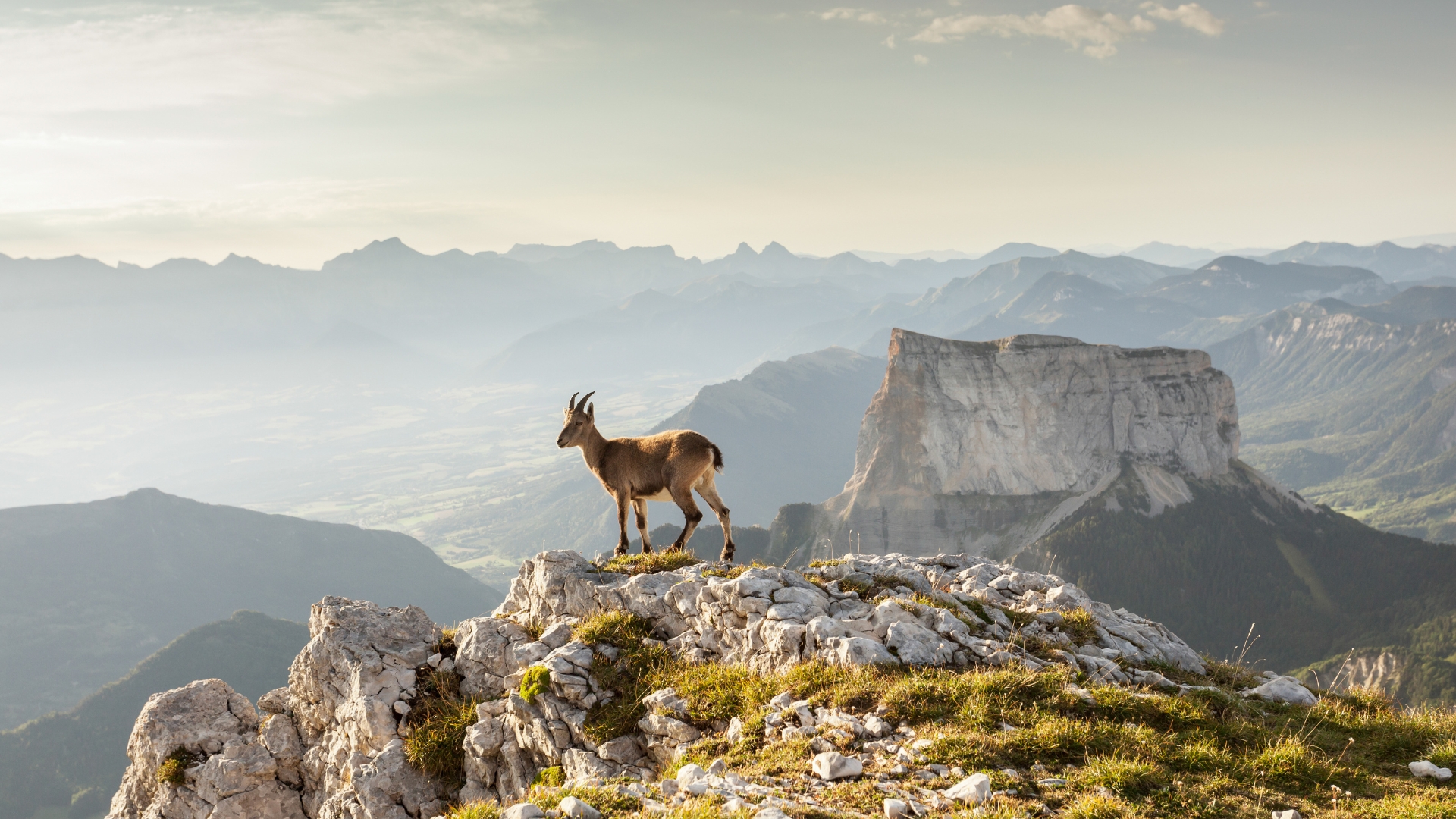 Trièves et Tour du Mont Aiguille en liberté