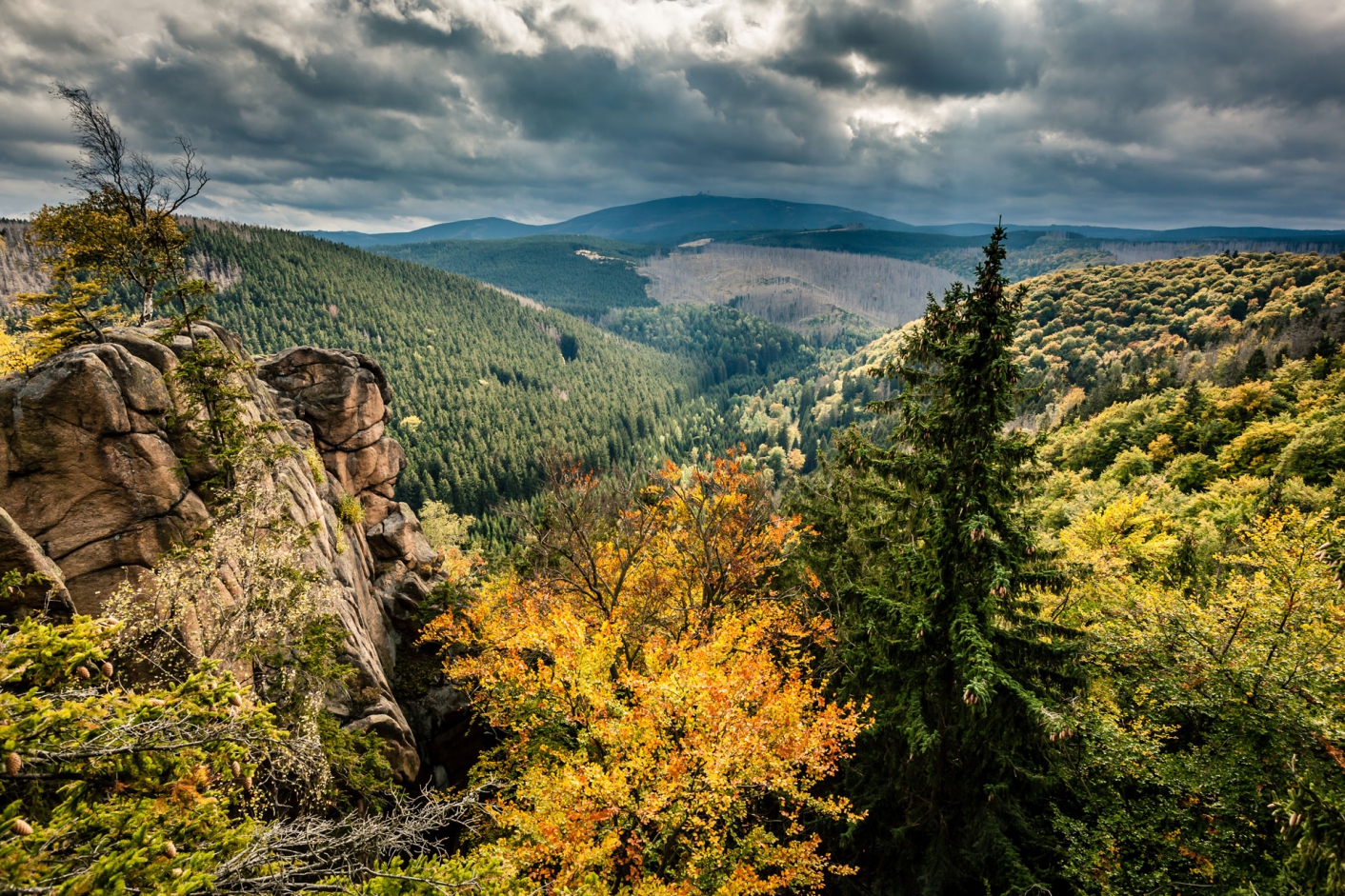 Harz