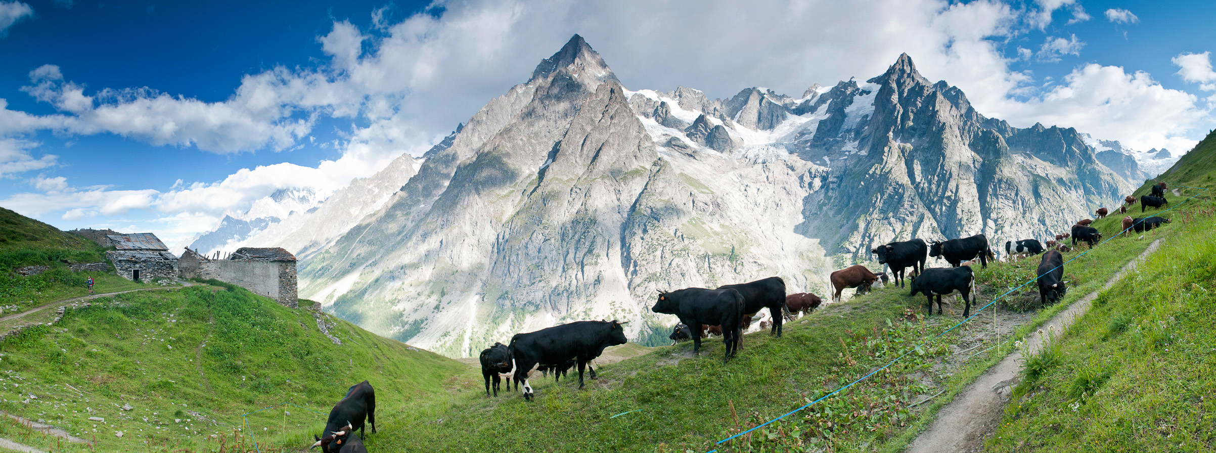 Tour du Mont-Blanc les alpages de Bovine