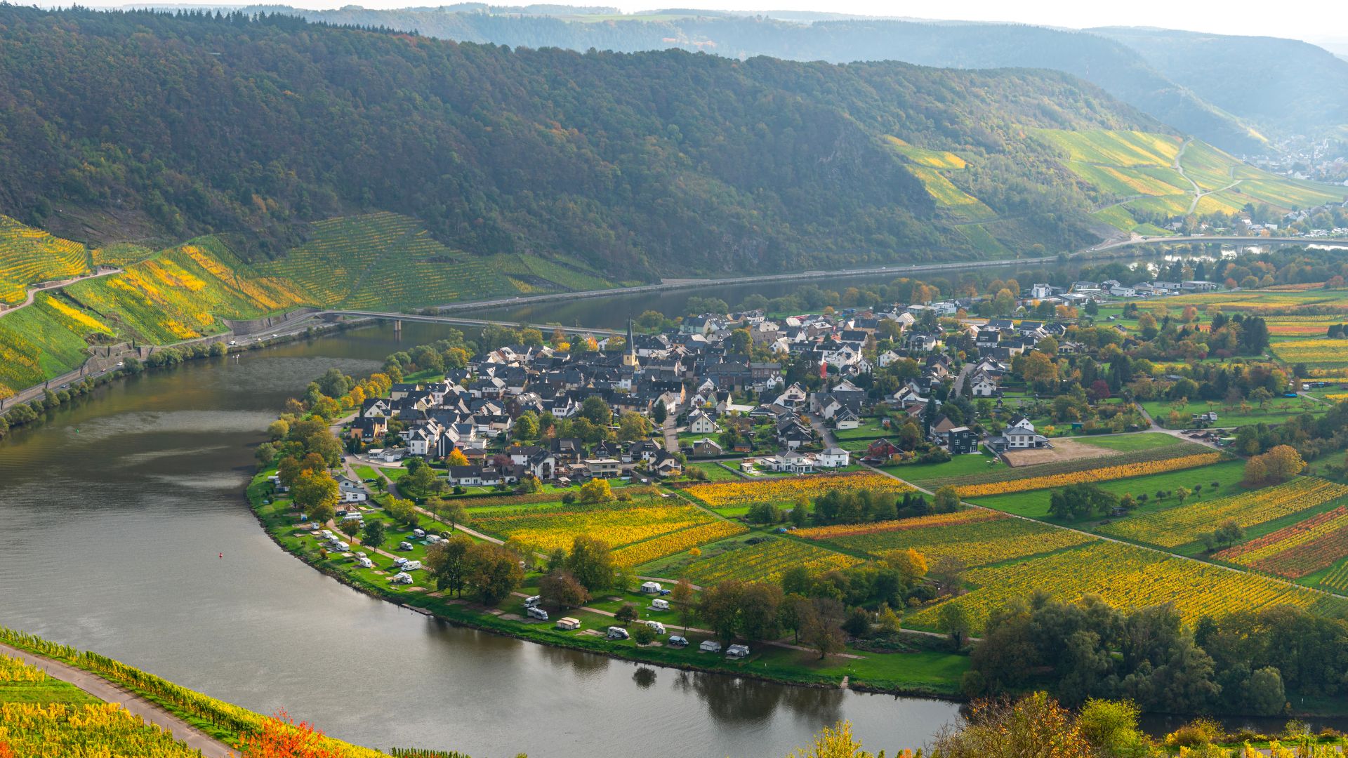 Moselle vigne