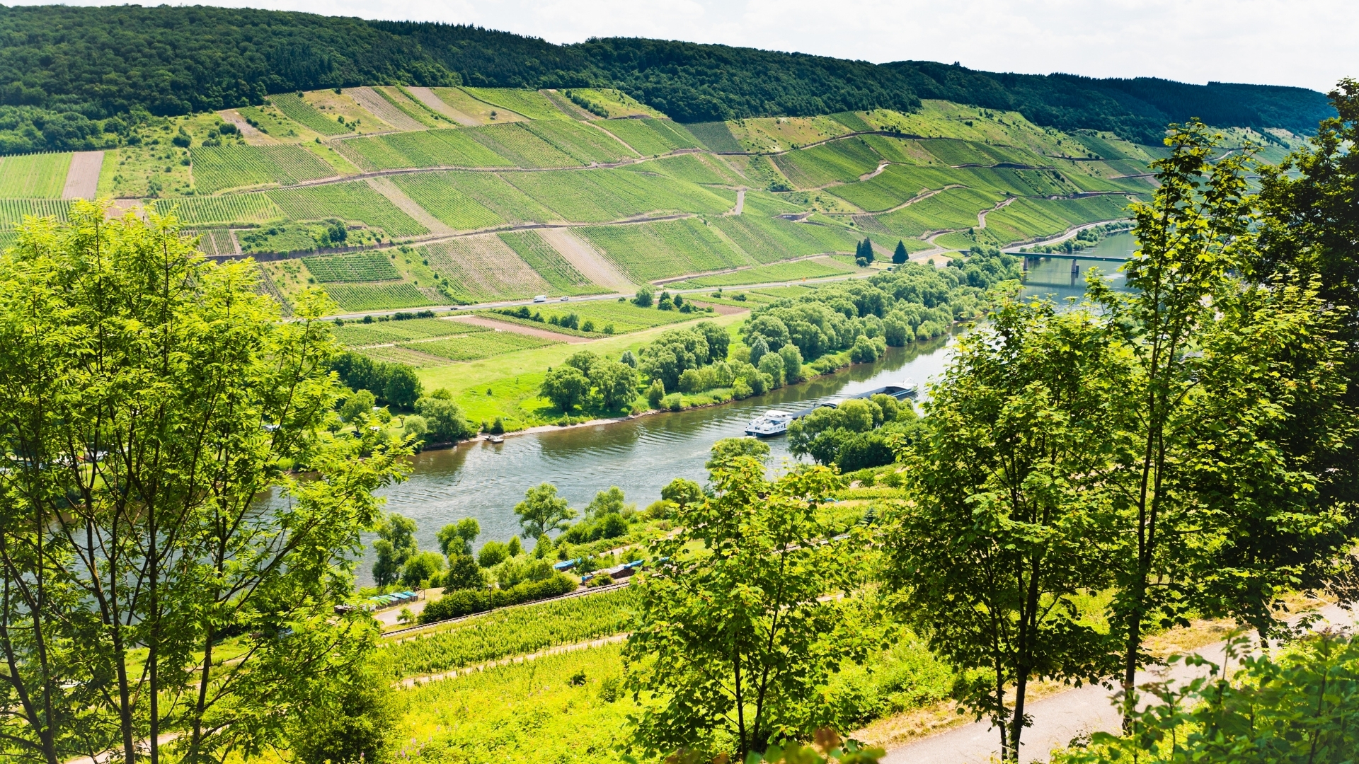 Moselle route des vins article route des vins