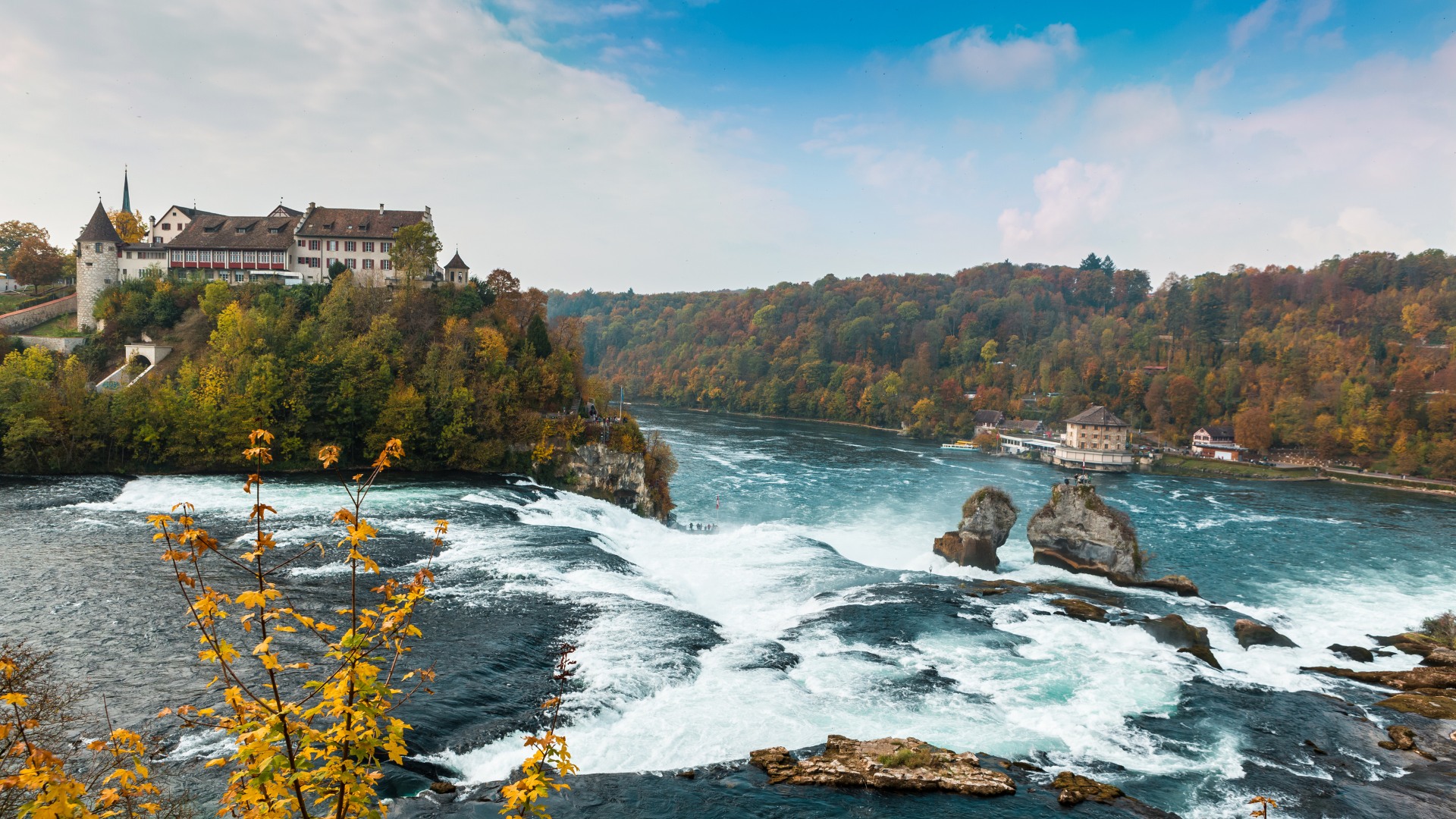 Rhine falls