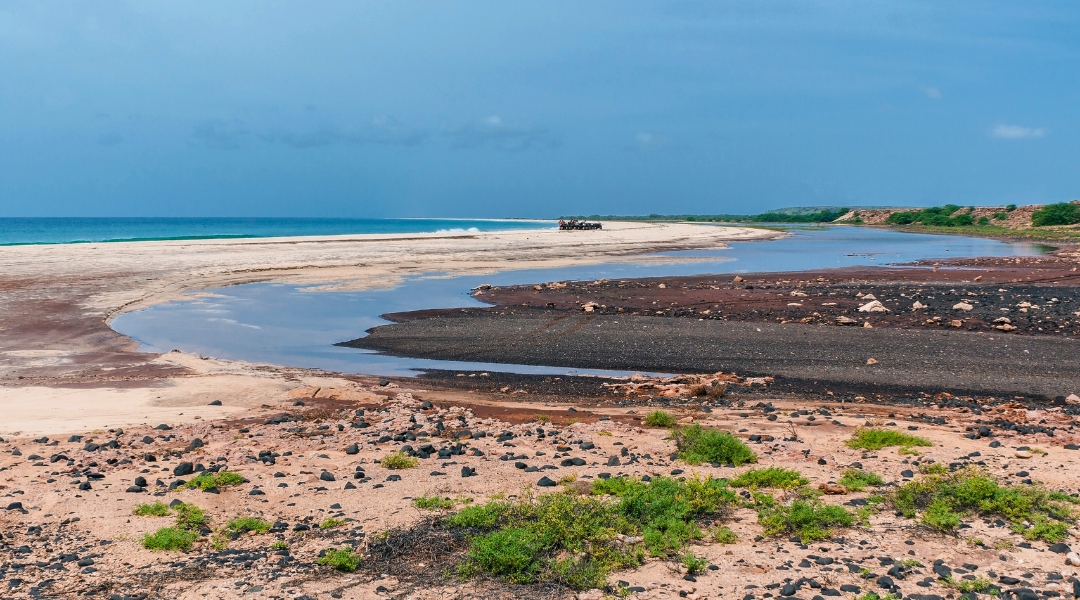 plage de Santa Monica