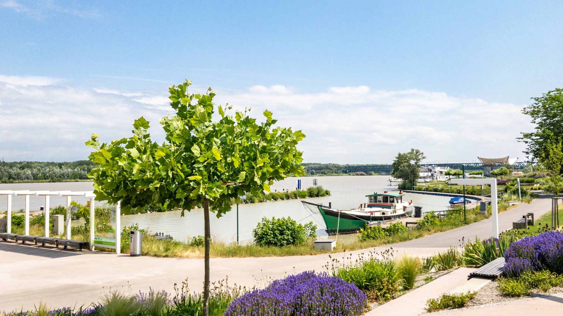 Tulln