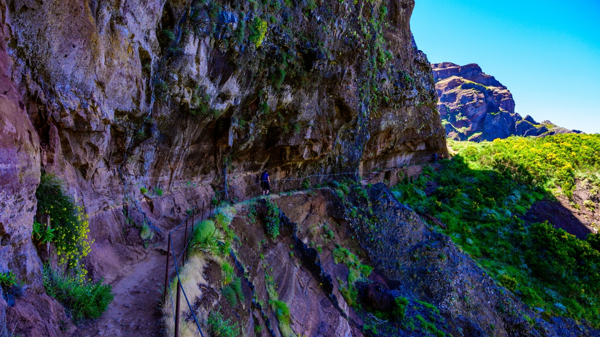 Vereda do Areeiro les plus belles randonnées de madère