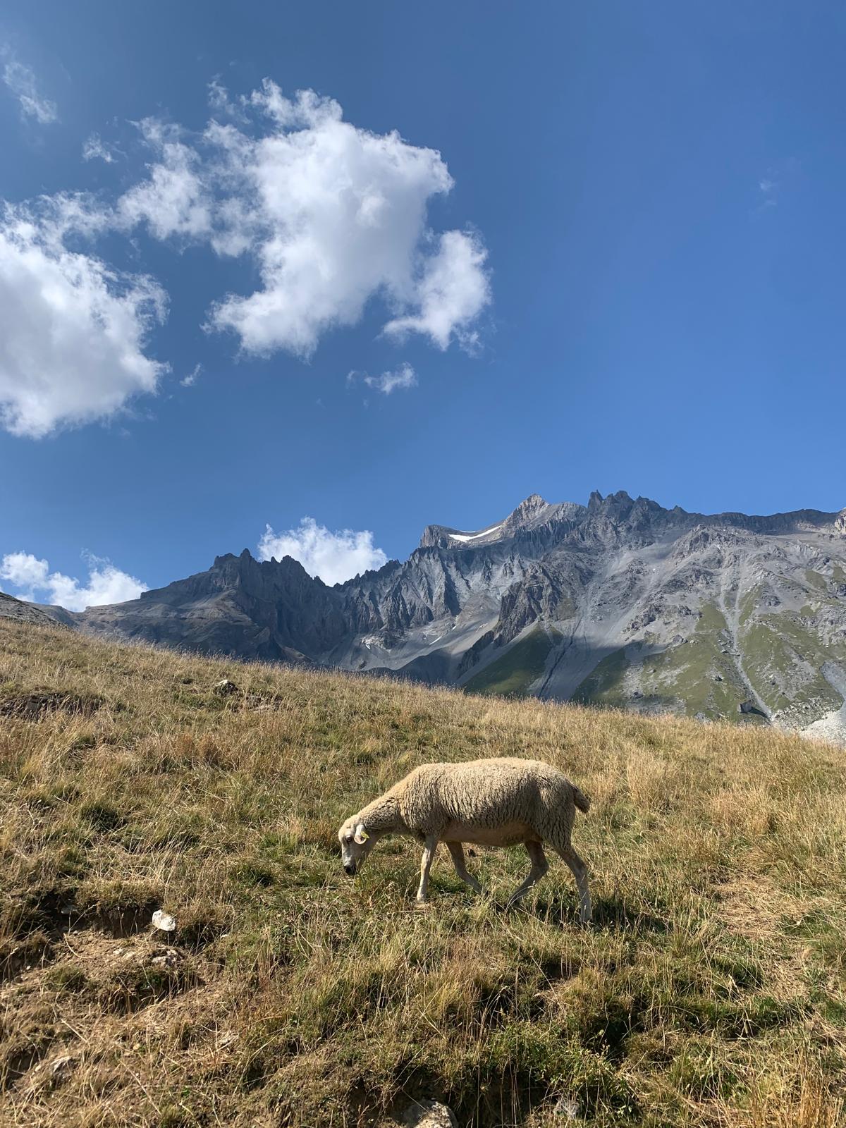 Du refuge de l’Orgère au refuge de l’Arpont
