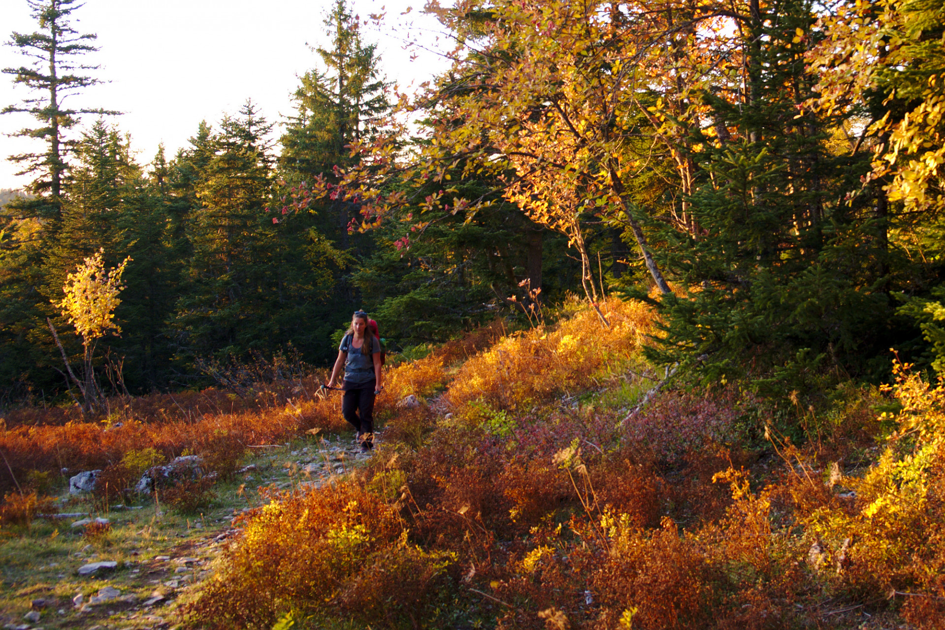 Vercors à l'automne