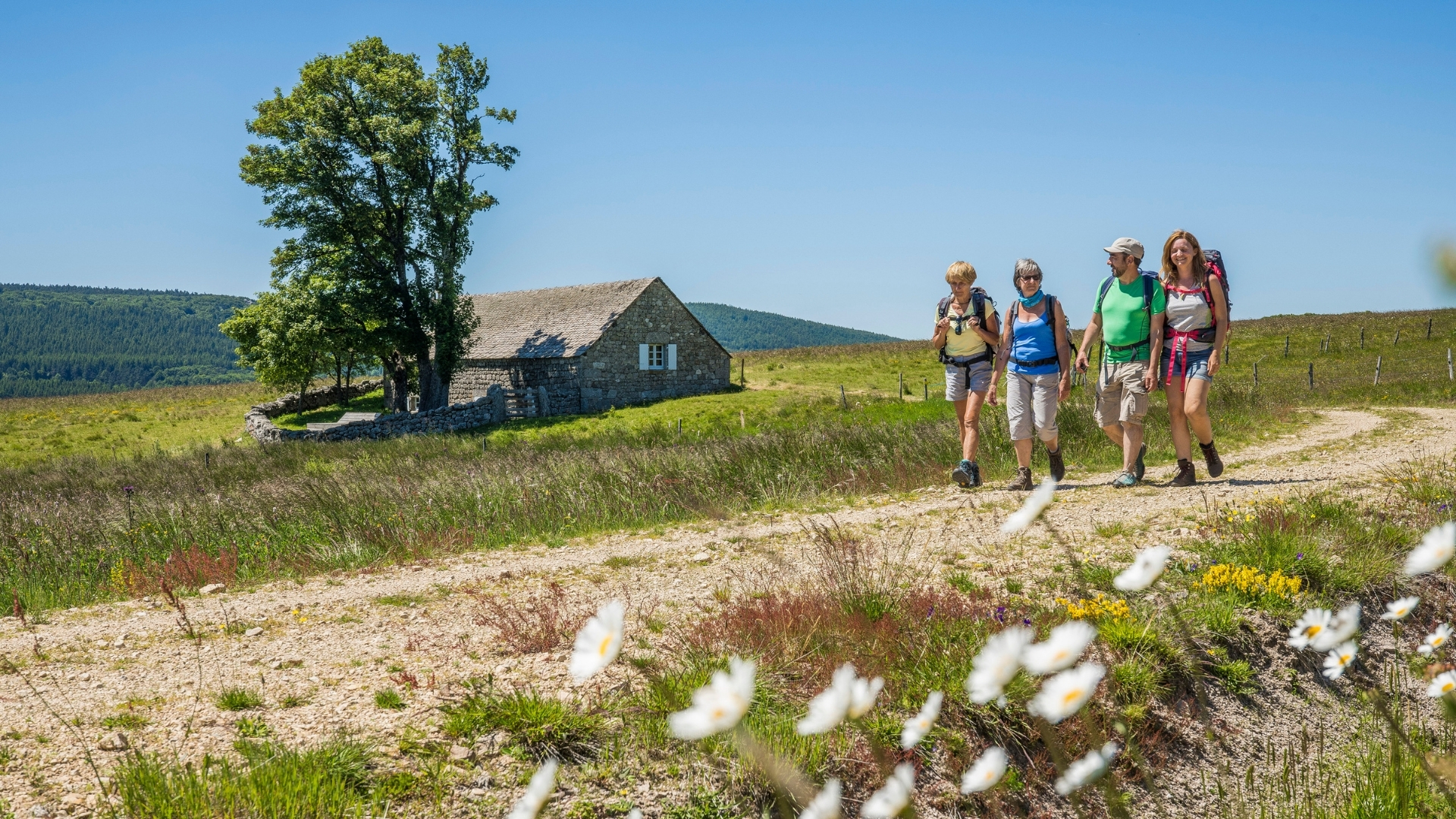 chemin de compostelle en famille article de blog
