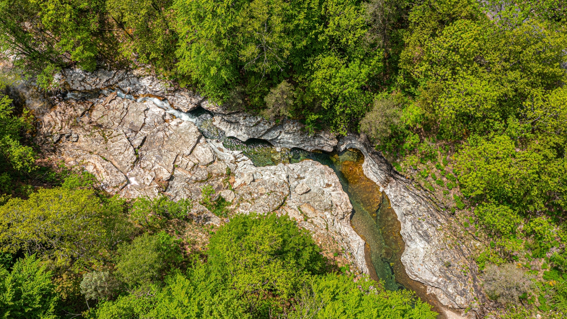 chemin de stevenson 10 voyages bas carbone