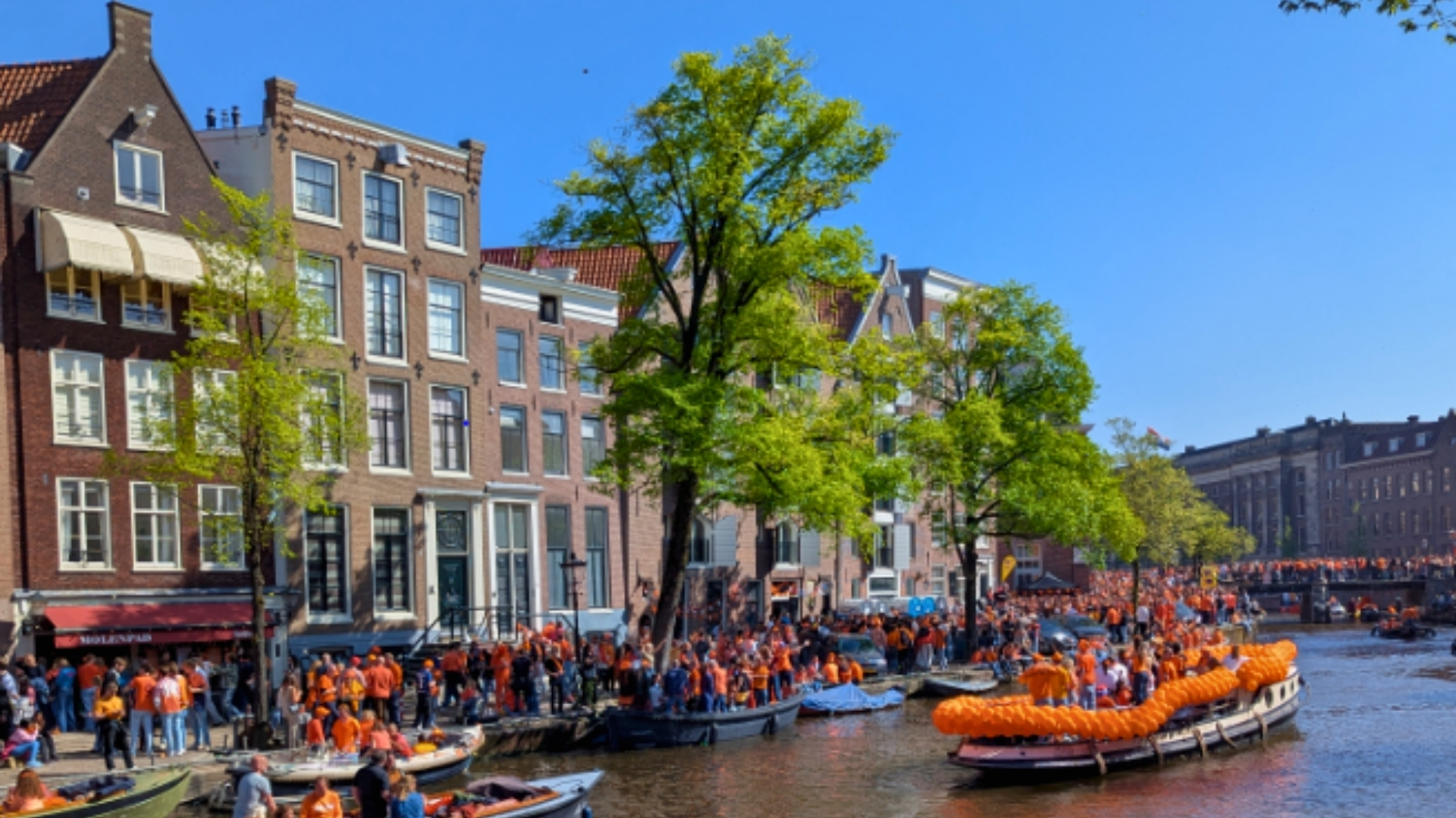 fete du roi amsterdam article elodie