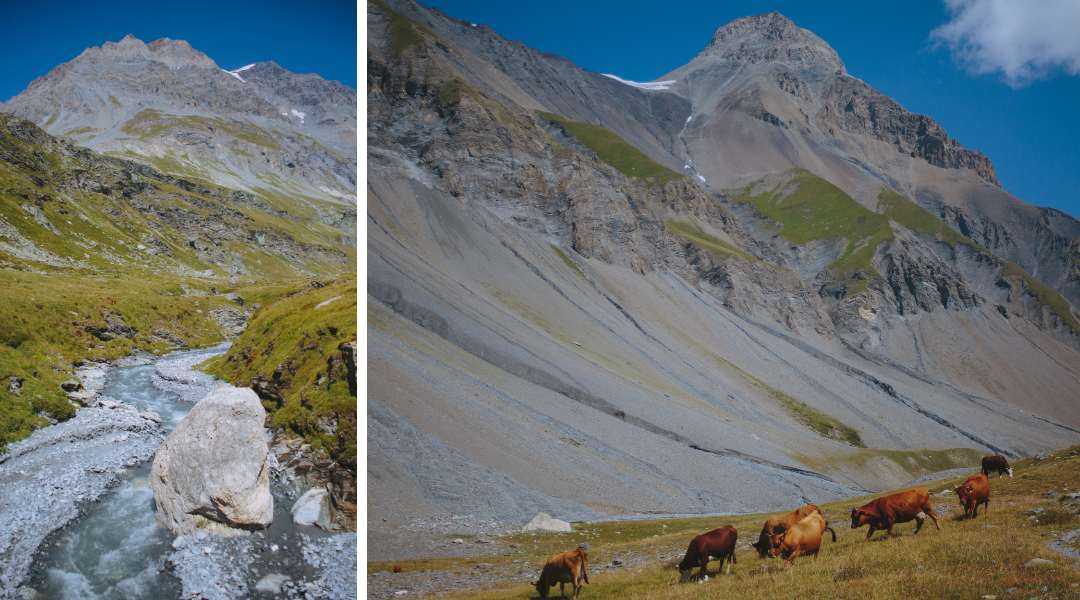La Grande Casse Vanoise randonnée
