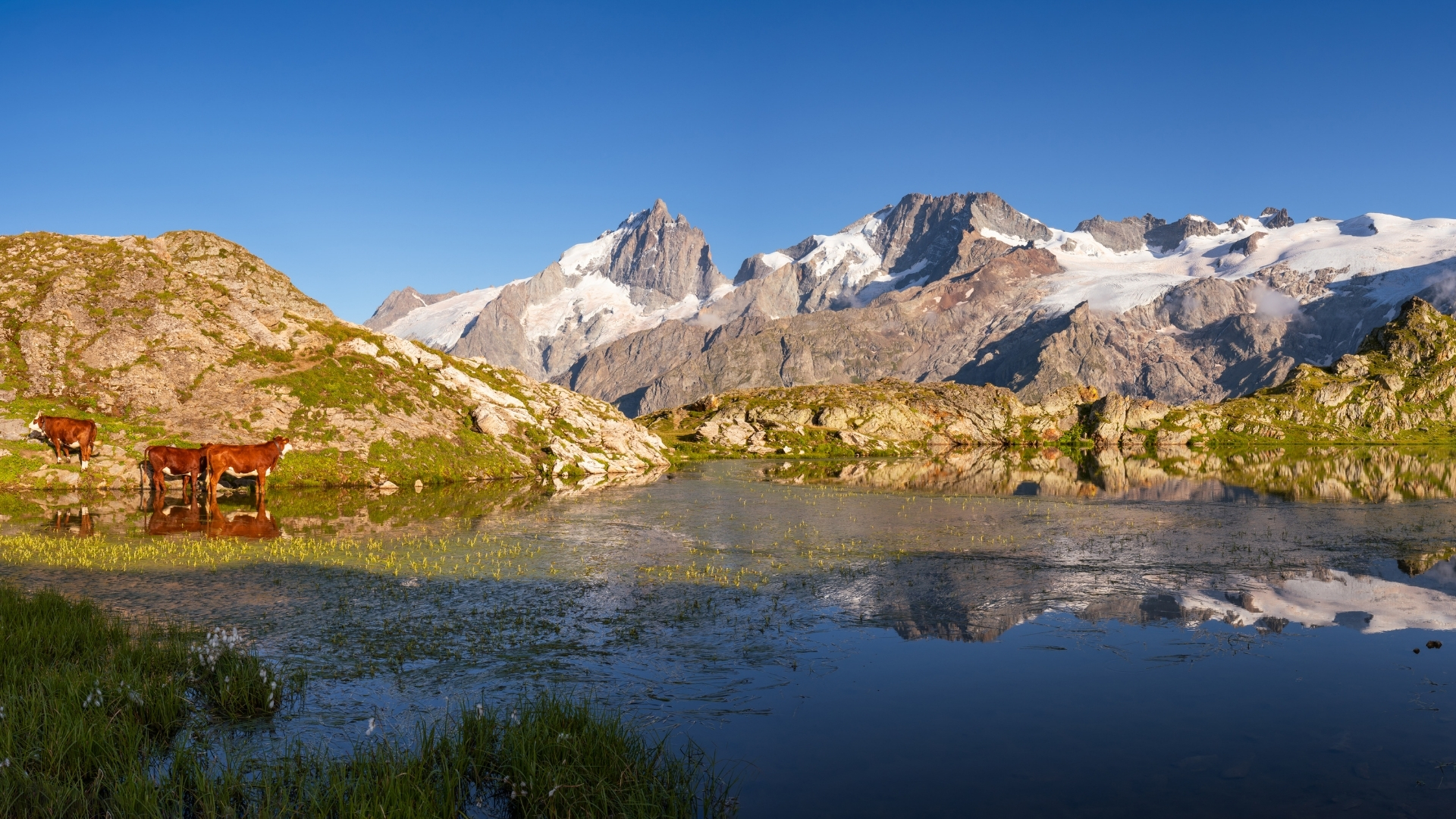 oisans et ecrins ou partir dans les alpes du nord cet ete