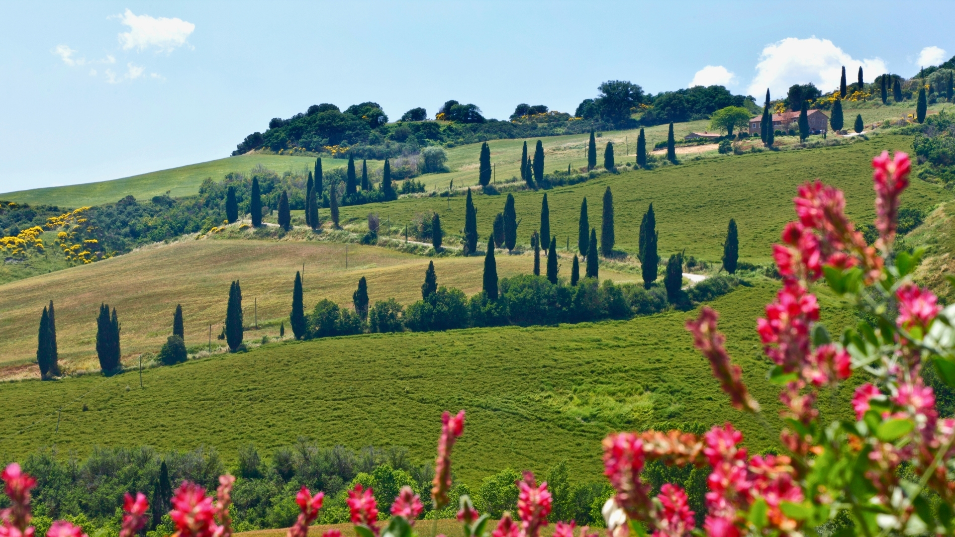 ou partir en velo au soleil la toscane