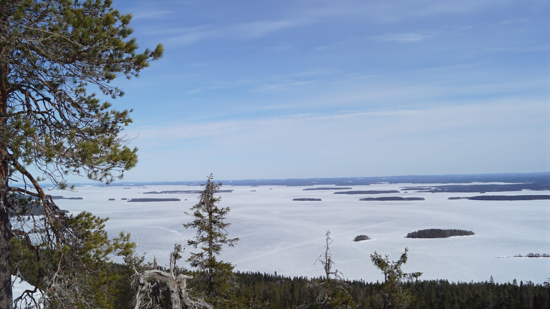 parc national de Koli en finlande