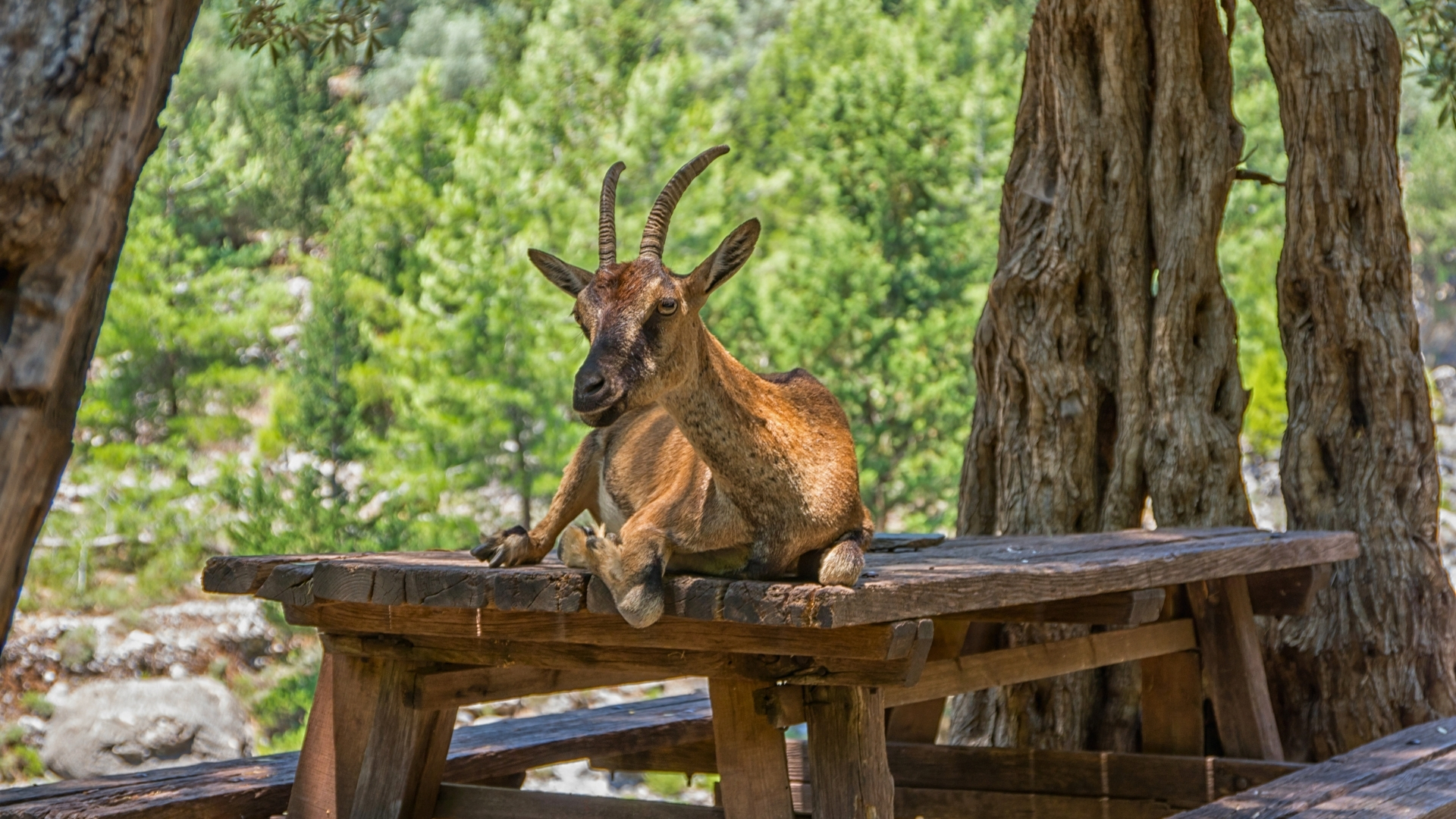plus beaux paysages de crete chevre kri kri