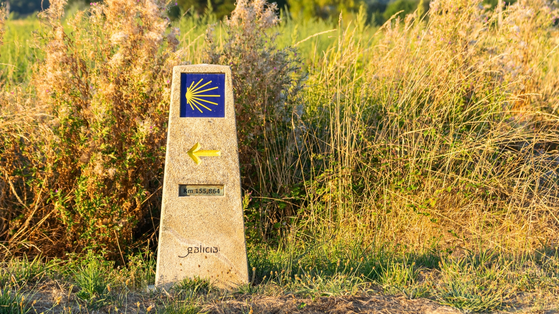 pourquoi faire compostelle image d'introduction saint jaques