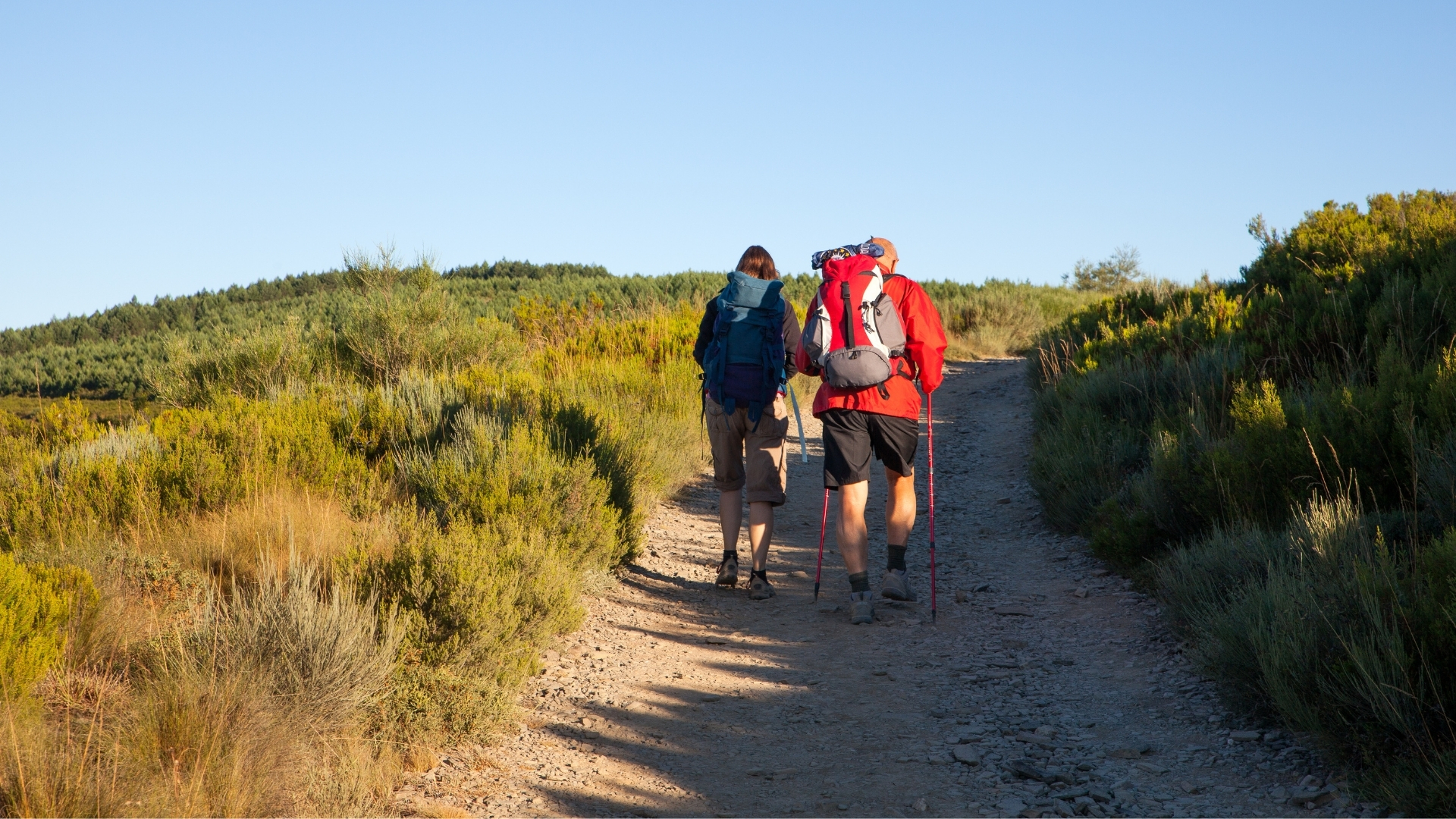 pourquoi faire compostelle une quete de sens et de deconnexion
