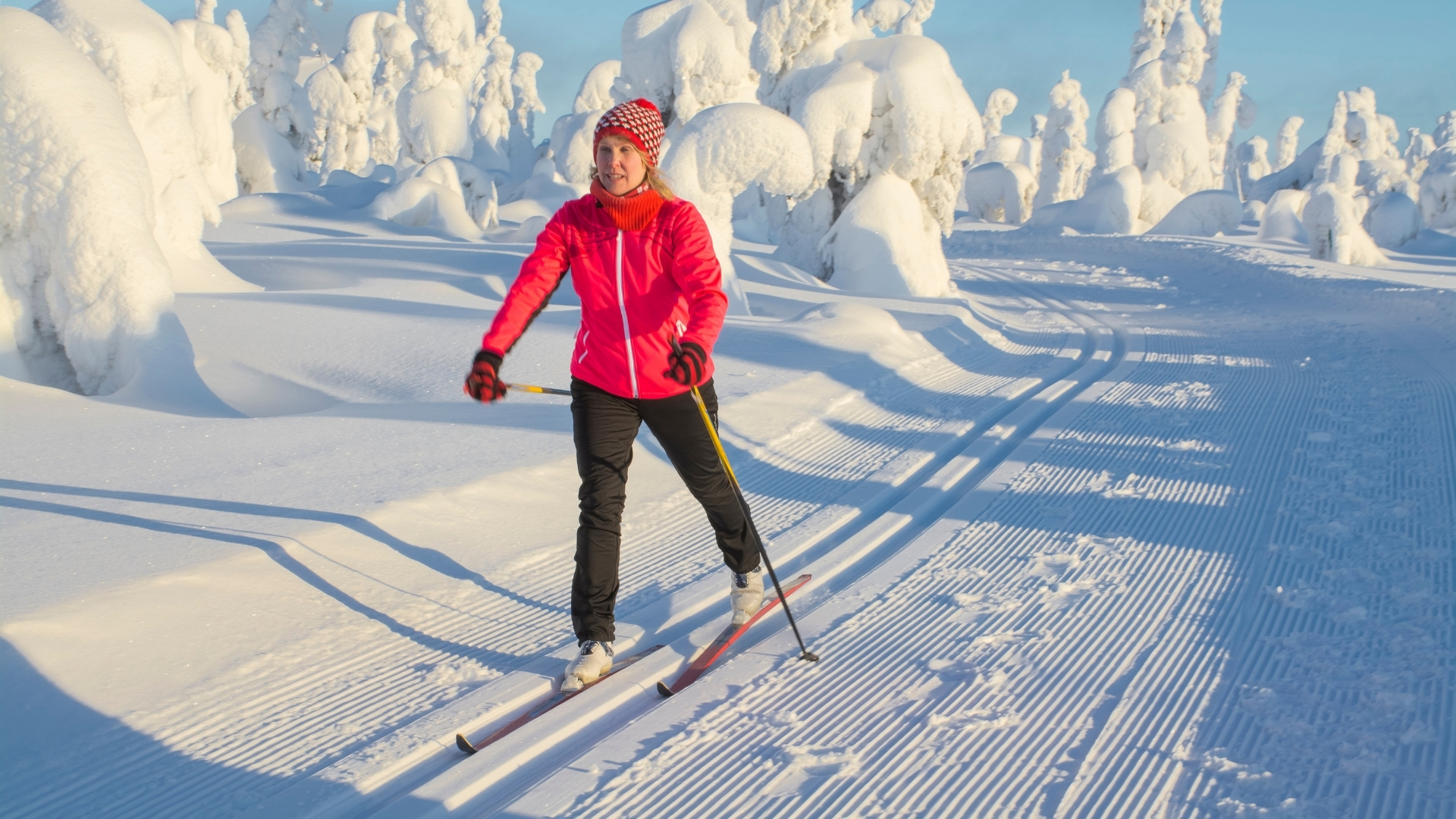 ski de fond, différence entre tous les skis