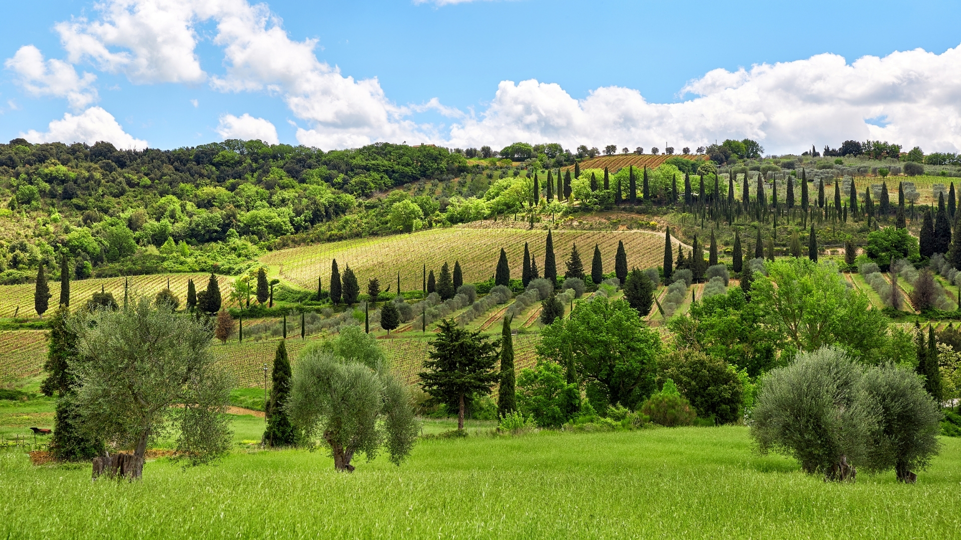 toscane voyagez autrement nature et patrimoine image intro