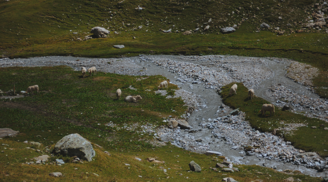 vanoise itinéraire randonnée jours 