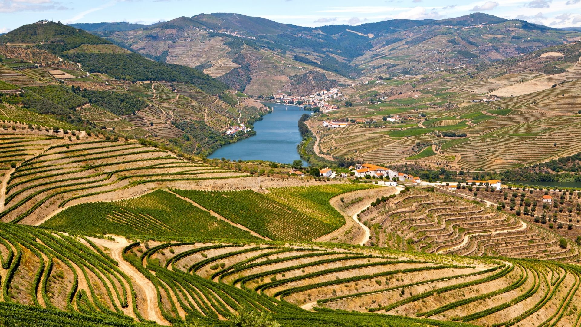 vallée du douro au portugal, article route des vins