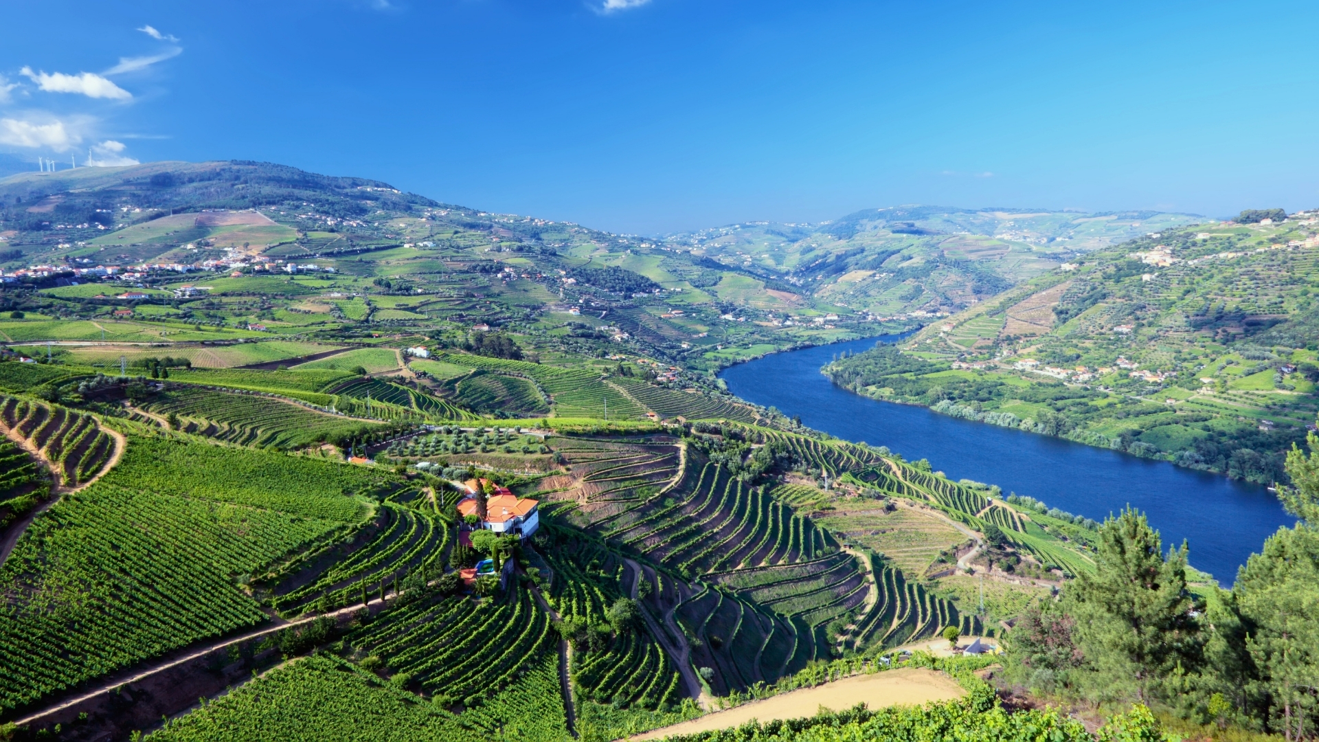 vallée du douro route des vins article